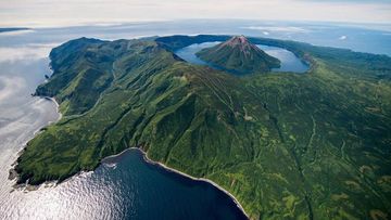 Anna Polina paypoq porno Shaggy ayollar va ularning mushuklari